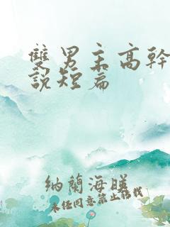 双男主高干文小说短篇
