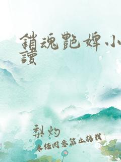 销魂艳婢小说阅读
