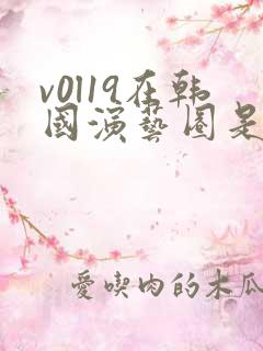 v0l19在韩国演艺圈是谁
