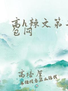 高h辣文第二书包网