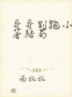 哥哥别跑小说原著结局