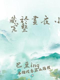 藏于昼夜 小说完整