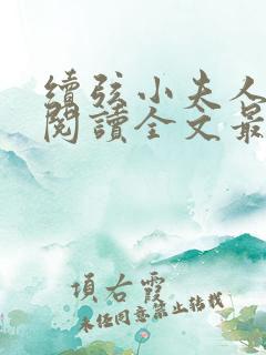 续弦小夫人免费阅读全文最新