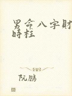 男命八字财星在时柱