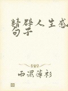 精辟人生感悟短句子