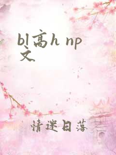 bl高h np文