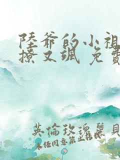陆爷的小祖宗又撩又飒 免费阅读