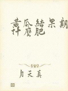 黄瓜结果期需要什么肥