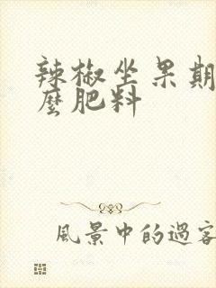 辣椒坐果期用什么肥料