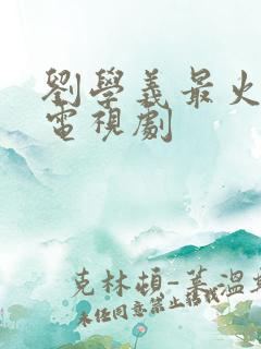 刘学义最火十部电视剧