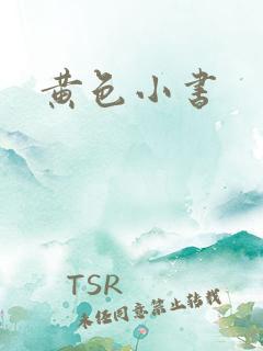 黄色小书