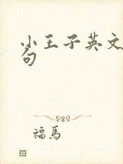 小王子英文版好句