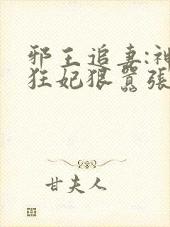邪王追妻:神医狂妃狠嚣张小说