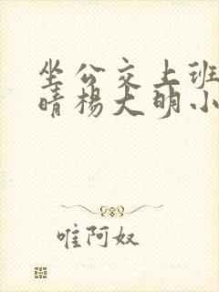 坐公交上班的苏晴杨大明小说免费阅读