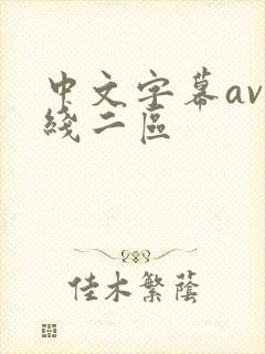 中文字幕av在线二区