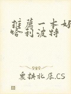推荐一本好书w哈利波特