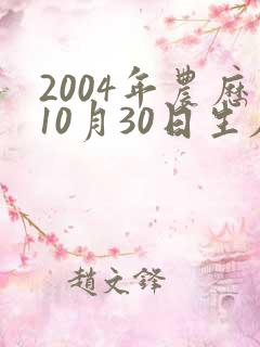2004年农历10月30日生辰八字