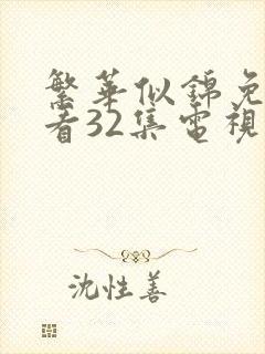 繁华似锦免费观看32集电视剧大全