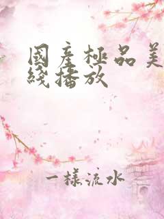国产极品美女在线播放