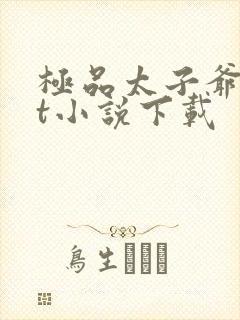 极品太子爷txt小说下载