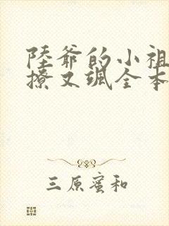 陆爷的小祖宗又撩又飒全本阅读