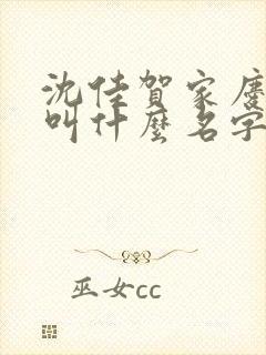 沈佳贺家庆小说叫什么名字 沈佳贺家庆小说叫什么名字