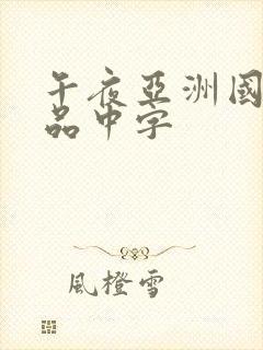 午夜亚洲国产精品中字