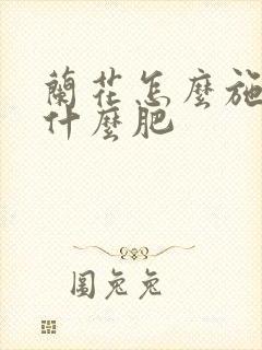 兰花怎么施肥施什么肥