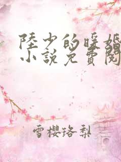 陆少的暖婚新妻小说免费阅读全文