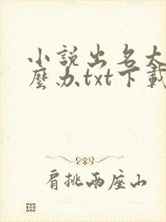 小说出名太快怎么办txt下载