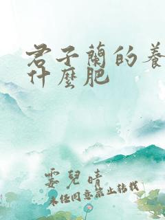 君子兰的养殖用什么肥