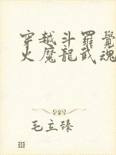 穿越斗罗觉醒冰火魔龙武魂