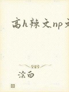 高h辣文np文