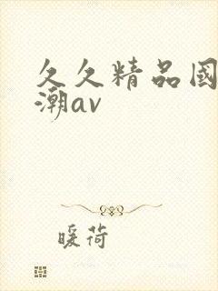久久精品国产高潮av