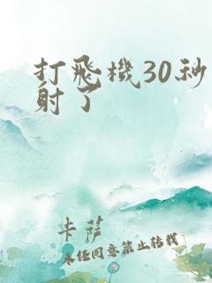 打飞机30秒就射了