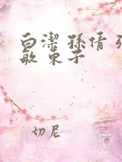 白洁 孙倩 张敏 东子