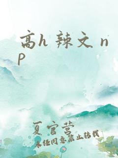 高h 辣文 np
