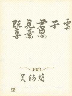 既见君子云胡不喜意思