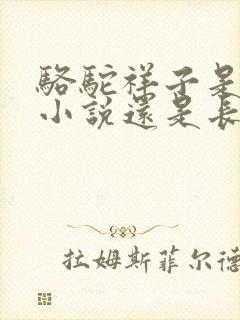 骆驼祥子是短篇小说还是长篇小说