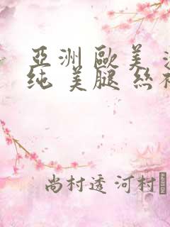 亚洲 欧美 清纯 美腿 丝袜