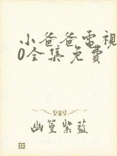 小爸爸电视剧40全集免费