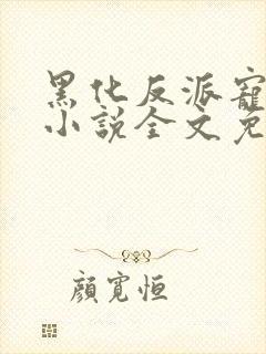 黑化反派宠上天小说全文免费阅读