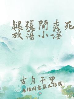 腿张开爽死你个放荡小淫