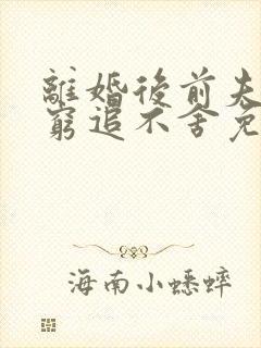 离婚后前夫对我穷追不舍免费阅读