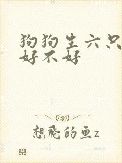 狗狗生六只小狗好不好