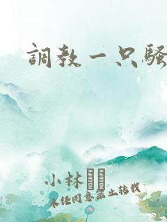 调教一只骚母狗