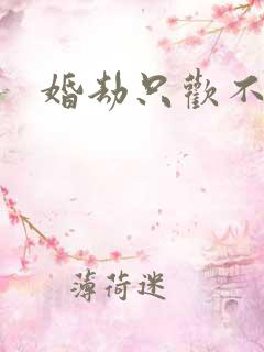 婚劫只欢不爱
