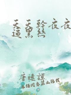 天天干夜夜操好逼黑丝
