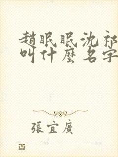 赵眠眠沈祁小说叫什么名字