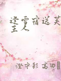 逢雪宿送芙蓉山主人
